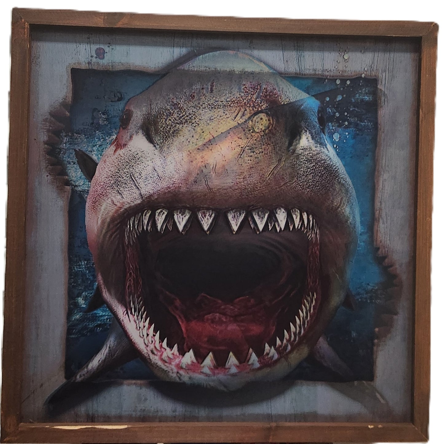 Great White Shark Wall Art in a Wooden Frame, Holographic