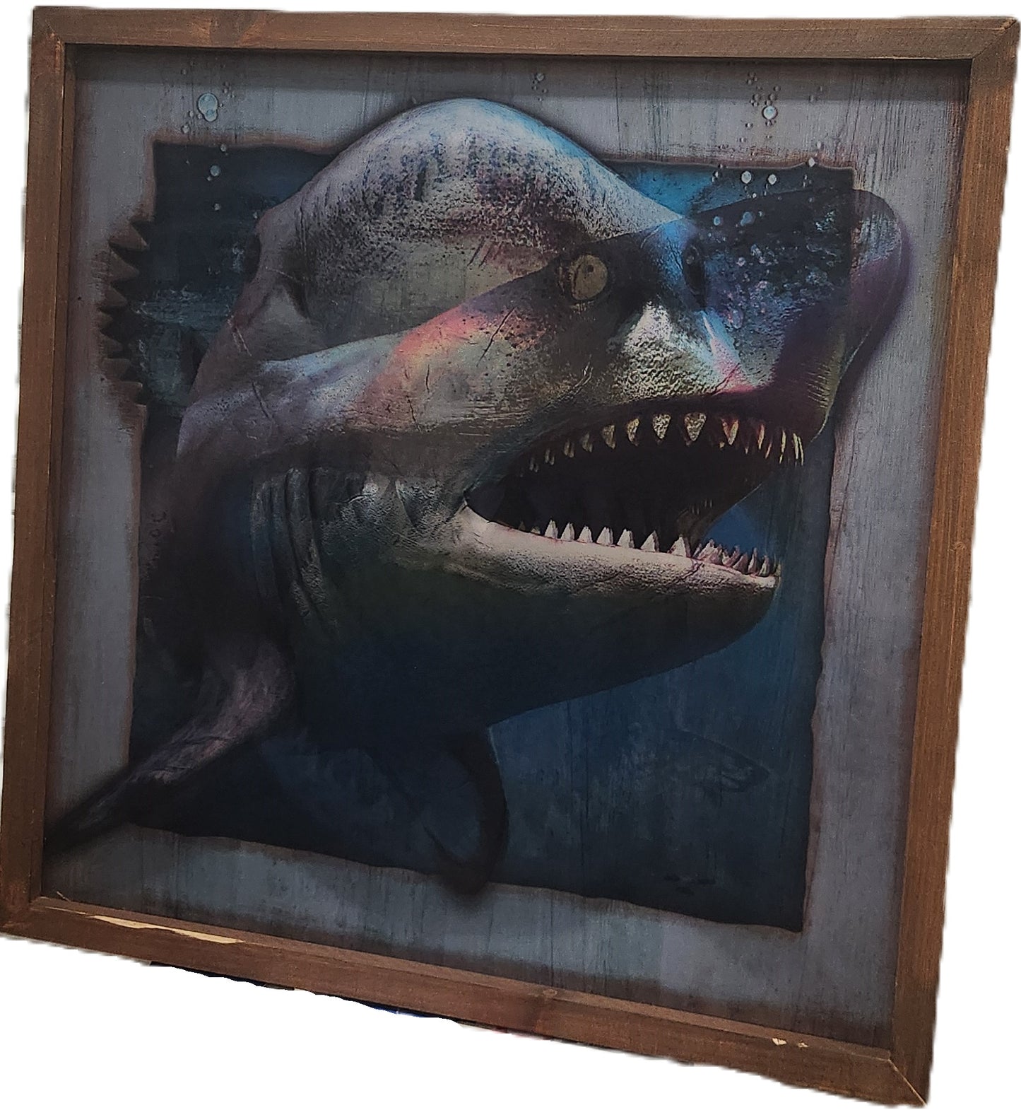 Great White Shark Wall Art in a Wooden Frame, Holographic