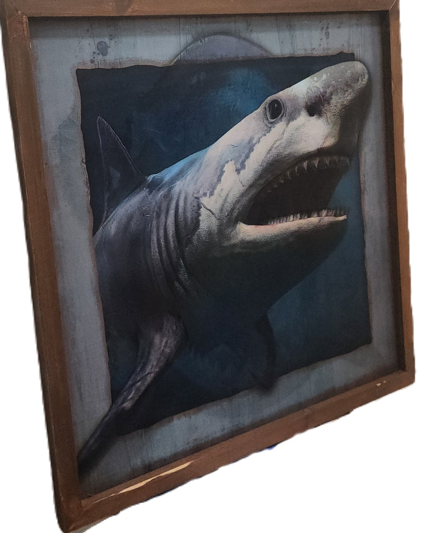 Great White Shark Wall Art in a Wooden Frame, Holographic